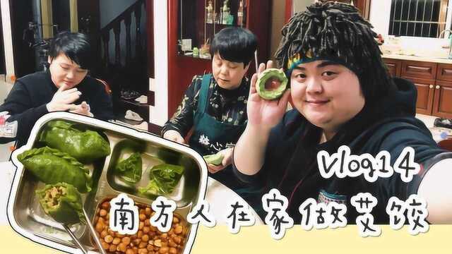 南方都是这样摘艾草做青团吃的!做艾饺全纪录VLOG