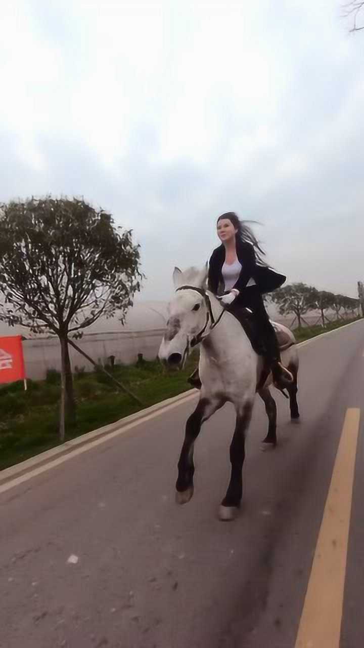 白衣美女策马奔腾草原之花就是你了