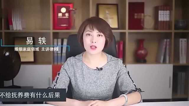 不给抚养费有什么后果