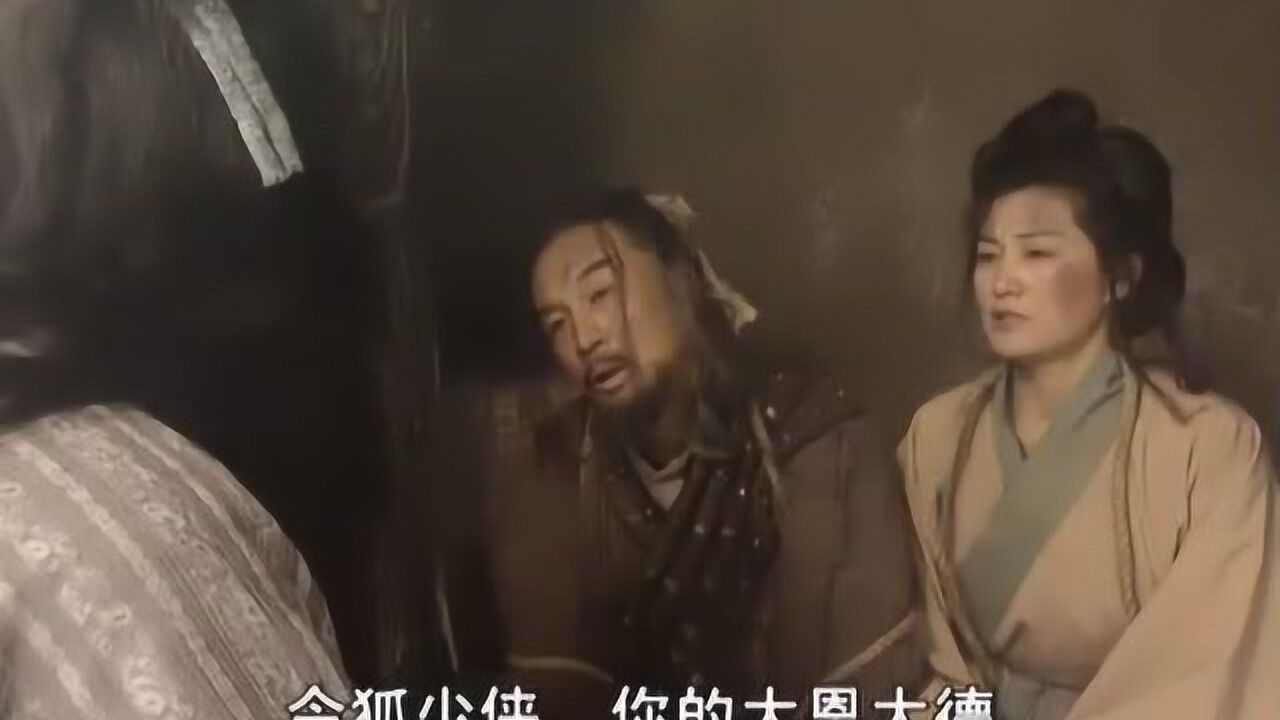 笑傲江湖林震南留下遗言俩人相继离去