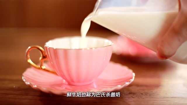 鲜牛奶和纯牛奶的区别