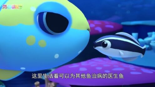 海豚帮帮号 第一季 自然小课堂-真假医生鱼_高清1080p在线观看平台