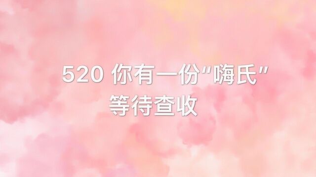 520 你有一份“嗨氏”等待查收