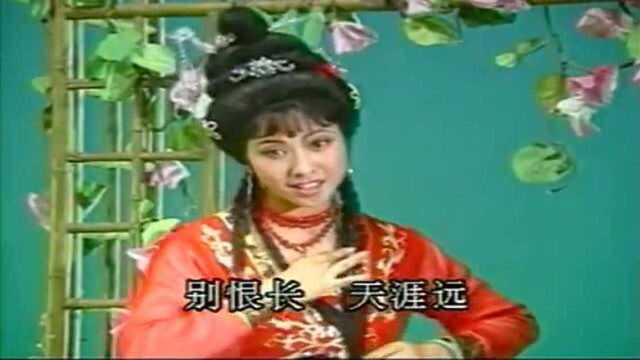 越剧《相思曲》选段 王派传人洪瑛演唱 好听好看!