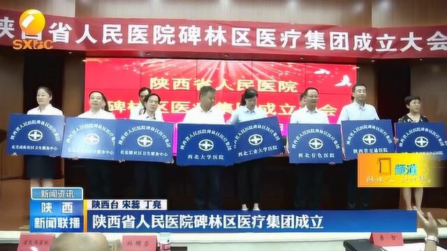 陕西省人民医院碑林区医疗集团成立