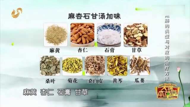 大医本草堂:风热郁肺是什么状况?麻杏石甘汤来解决