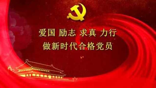 微党课:爱国励志求真力行 做新时代合格党员陈淑萍