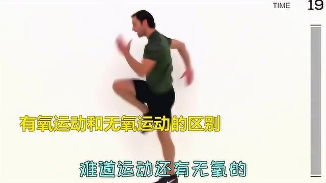 无氧运动和有氧运动分别是什么