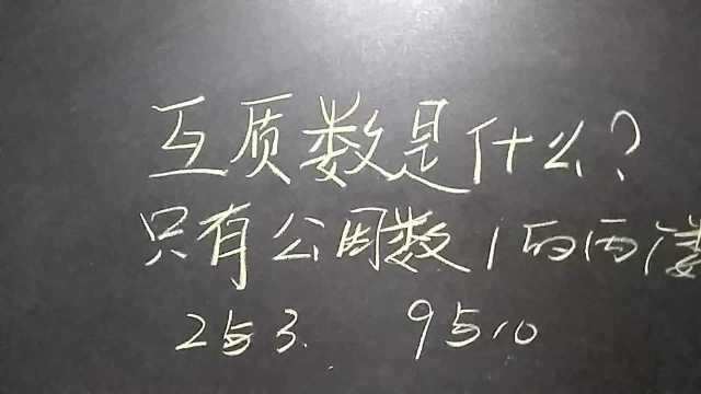 小学数学知识点:互质数的定义