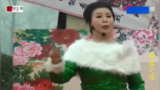 河南坠子《秦琼打擂》片段 邢玉秋演唱