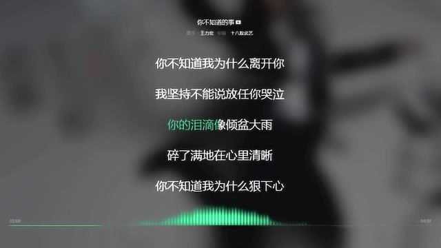 你不知道的事 王力宏 2010年度最火歌曲 动态歌词