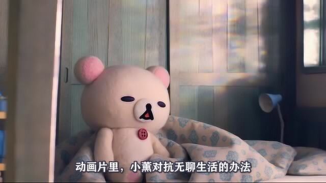 轻松小熊和小薰:呆萌治愈系萌宠,与主人一起走走漫漫人生路……