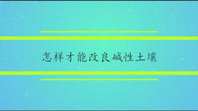 怎样才能改良碱性土壤