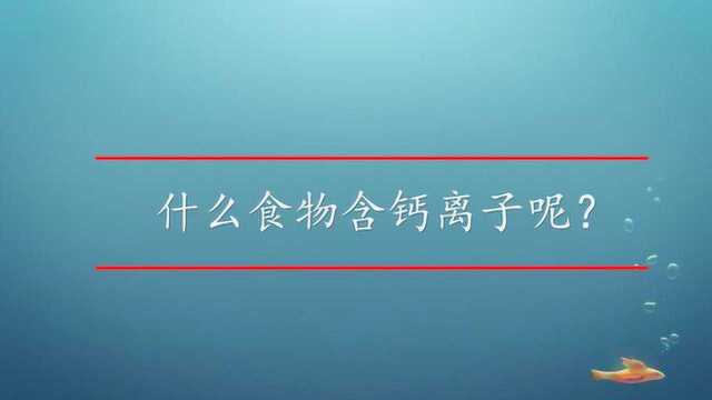 什么食物含钙离子呢?