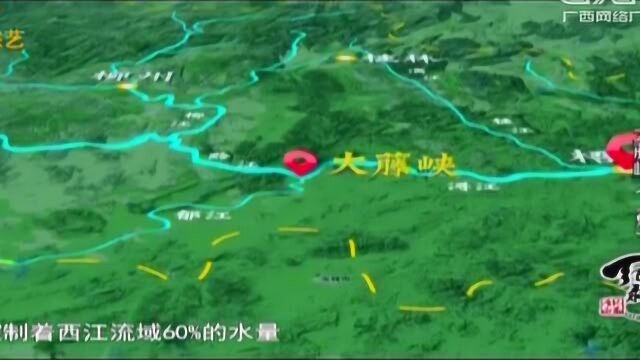 大藤峡选定了坝址 但图纸却一改再改 转眼就过去了30年