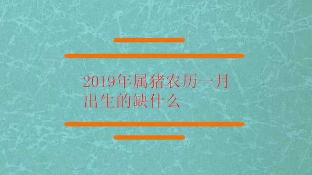 19年属猪农历一月出生缺什么?