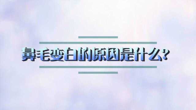 鼻毛变白的原因是什么?