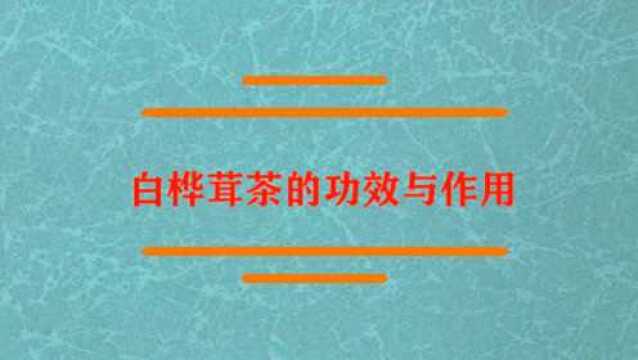 白桦茸茶的功效与作用是什么?