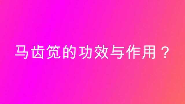 马齿笕的功效与作用?