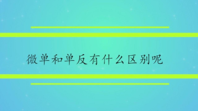 微单和单反有什么区别呢