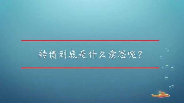 转债到底是什么意思呢?