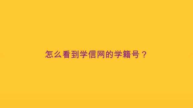 怎么看到学信网的学籍号?