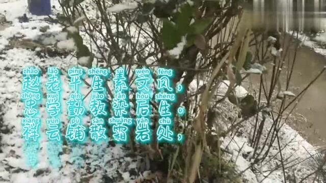 清露古诗词:赵忠祥名字的诗,祥云铺散霜岩处,莘莘青种盖雪层!