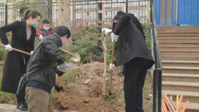 西安桃园路社区开展了绿化植树活动 48棵树苗找到了“家”