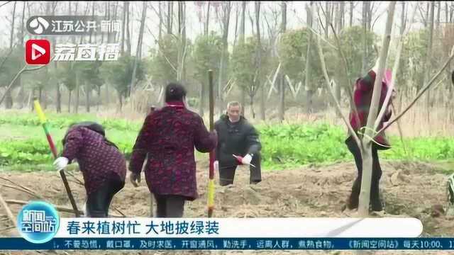 春来植树忙 江苏大地披绿装