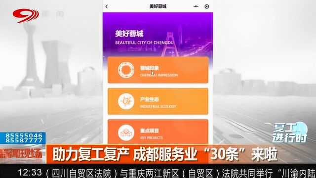 助力复工复产 成都服务业“30条”来啦!