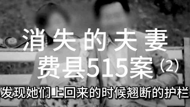 消失的夫妻(2)山东临沂费县515特大入室抢劫杀人案