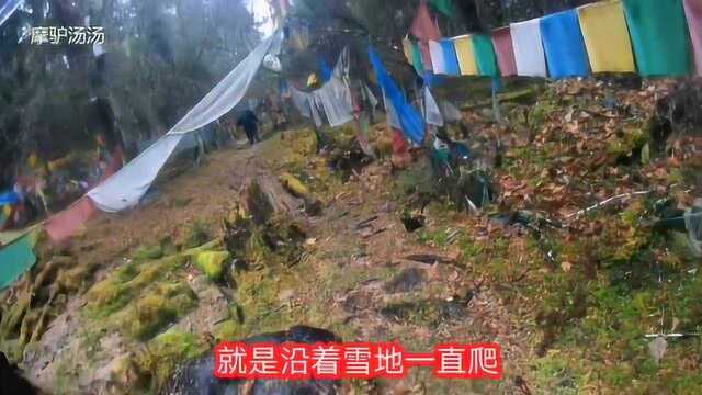 冬季摩旅西藏最神秘的地方卓龙沟的原始森林树葬区让灵魂升华的地方