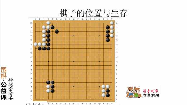 博士讲围棋【4】|围棋的生存与空间的关系—围空的技巧和效率