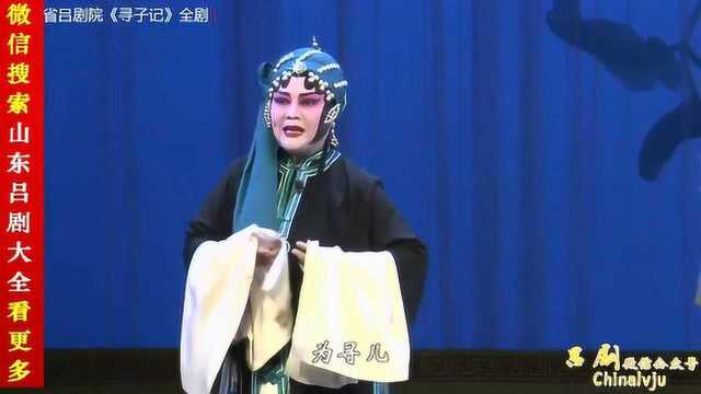 吕剧《寻子记》“趵突泉水悠悠” 胡静华演唱