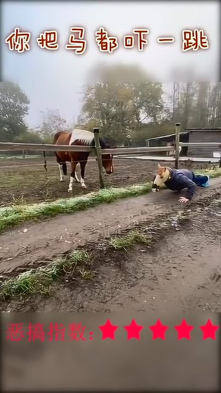 仔细看马的眼神是多么的恐惧这是个什么东西啊