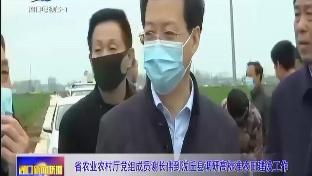 河南省农业农村厅党组成员谢长伟到沈丘县调研