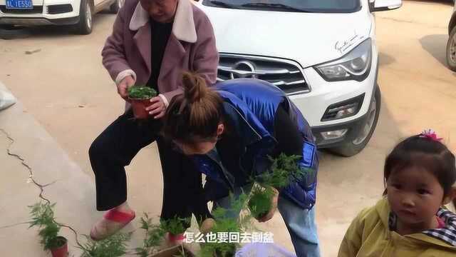 阿兴网上预定鲜花,取货时傻了眼,这么漂亮的花怎么能这么便宜?