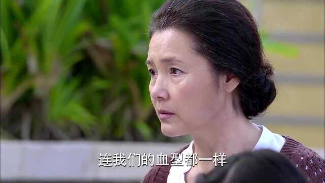 清岺脱鞋露出伤疤,奶奶一看,怀疑清岺是亲孙女