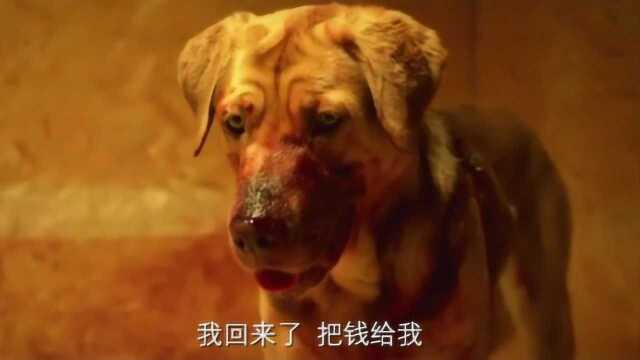 狗狗受尽人类的折磨,最终带领200多只流浪狗反击人类的故事