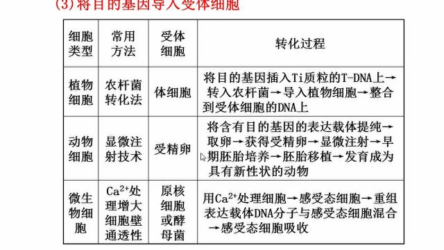 4.9高二生物 基因工程的基本操作程序