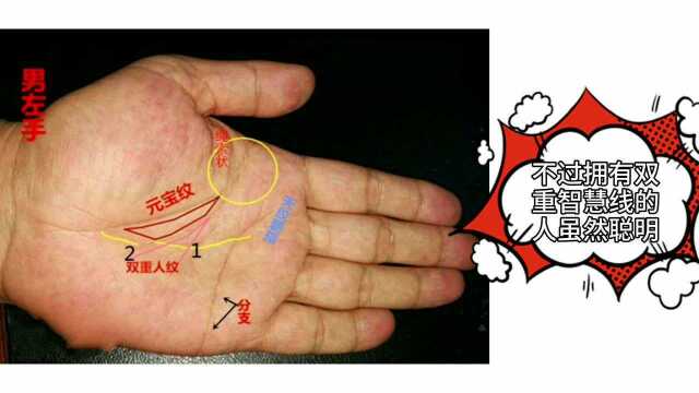 手相中拥有双重智慧线是什么意思?