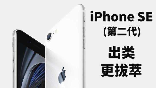 【懂机】1分钟带你看懂  iPhone SE (第二代)