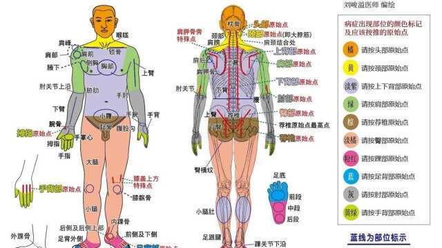 原始点让医学真相大白——中医和西医,科学与不科学