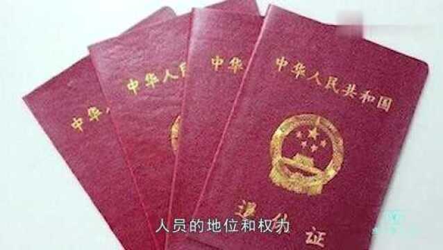 为什么退休证的颜色分为红色和蓝色,有什么区别?看完涨知识了