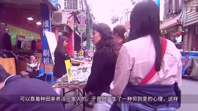 为什么来自福建莆田的人,很多都有经商头脑呢?答案出乎意料