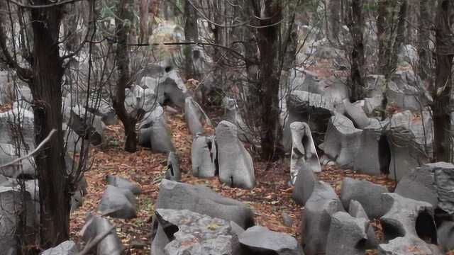 山村旁现百亩“石海” 形貌各异连绵起伏