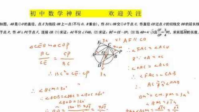 中考数学:圆中证明直角三角形相似,已知直径长和线段比例,求劣弧长度