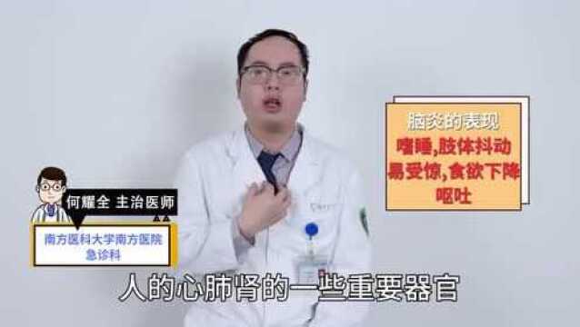 孩子得了手足口病,会有哪些典型症状?医生教你正确识别