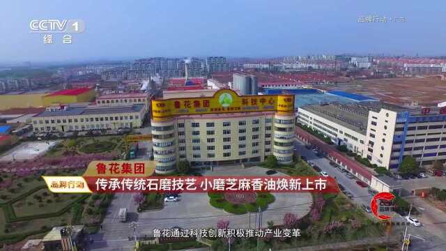 香味升级,品质升级!鲁花小磨香油焕新上市!央视都播报啦