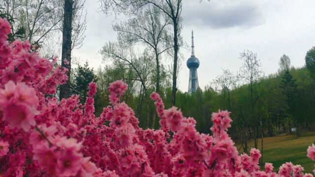 走!今天带你去逛西宁植物园!